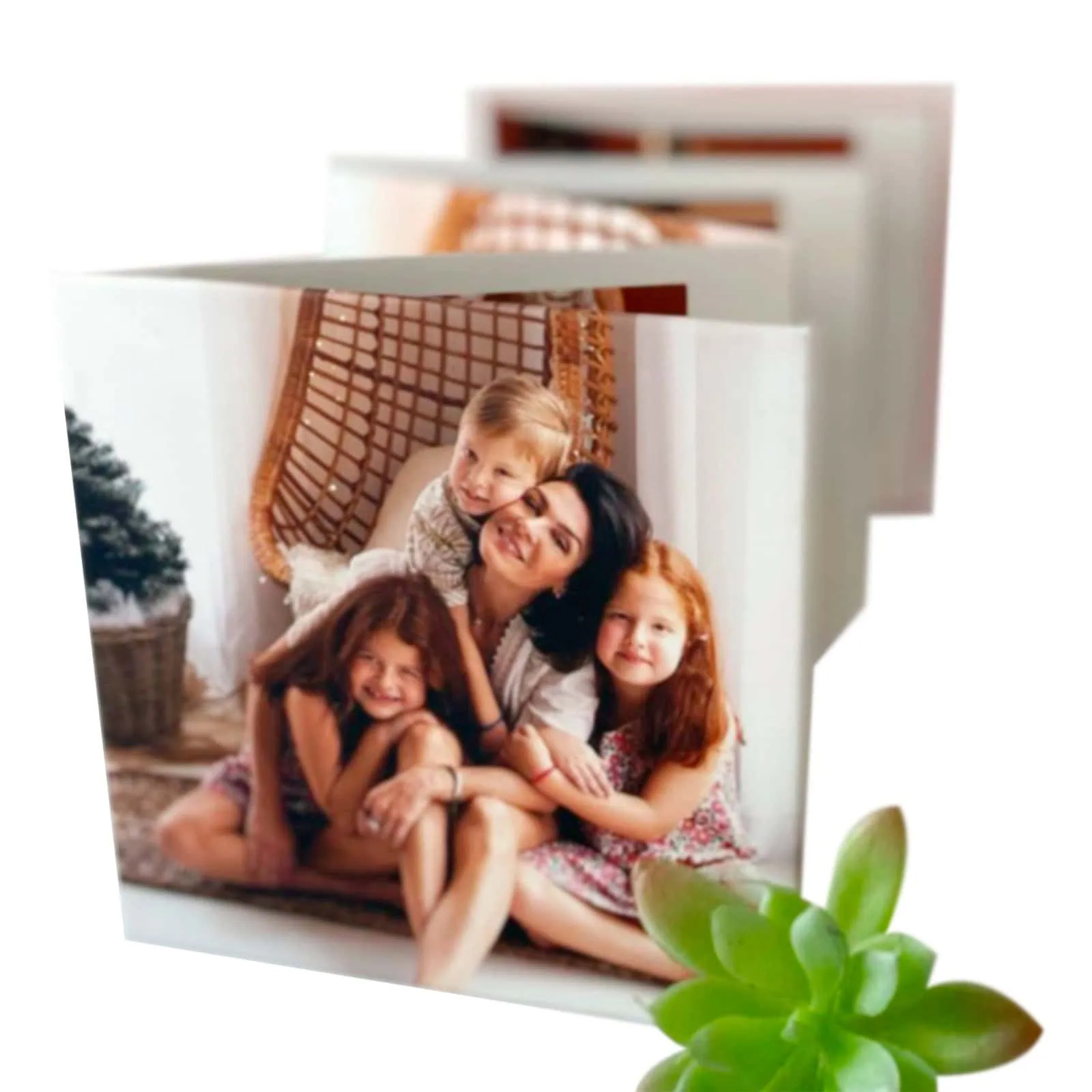 Coleção de fotos impressas em álbum Alfafotobook Pro, recordações especiais em alta qualidade.