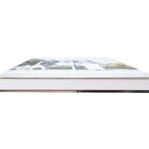 Álbum fotográfico Alfafotobook Pro com capa personalizada e acabamento de alta qualidade.