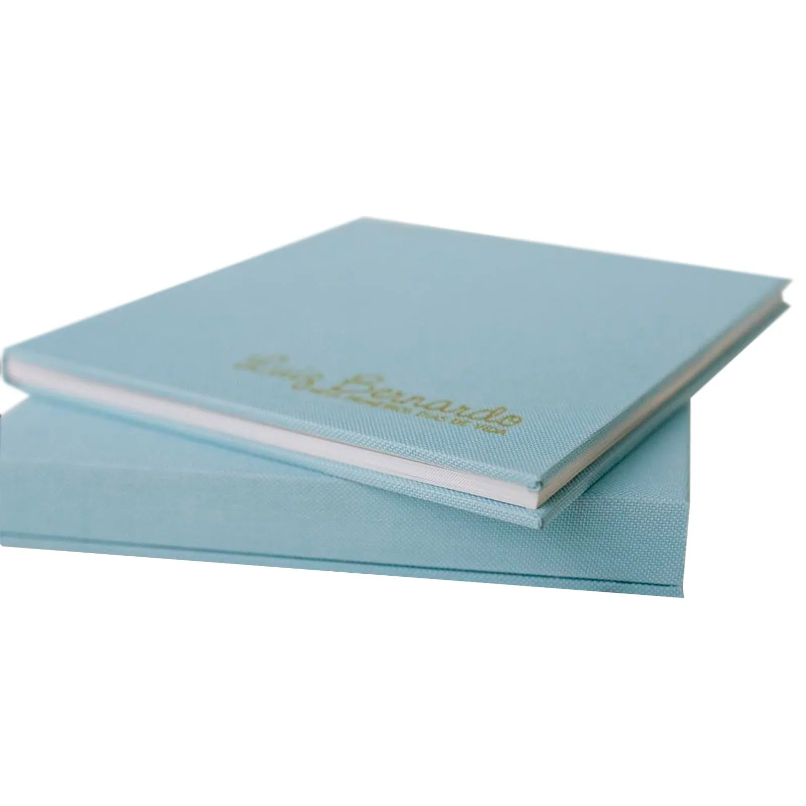 Álbum de fotos personalizado, capa azul com acabamento premium para registros especiais.