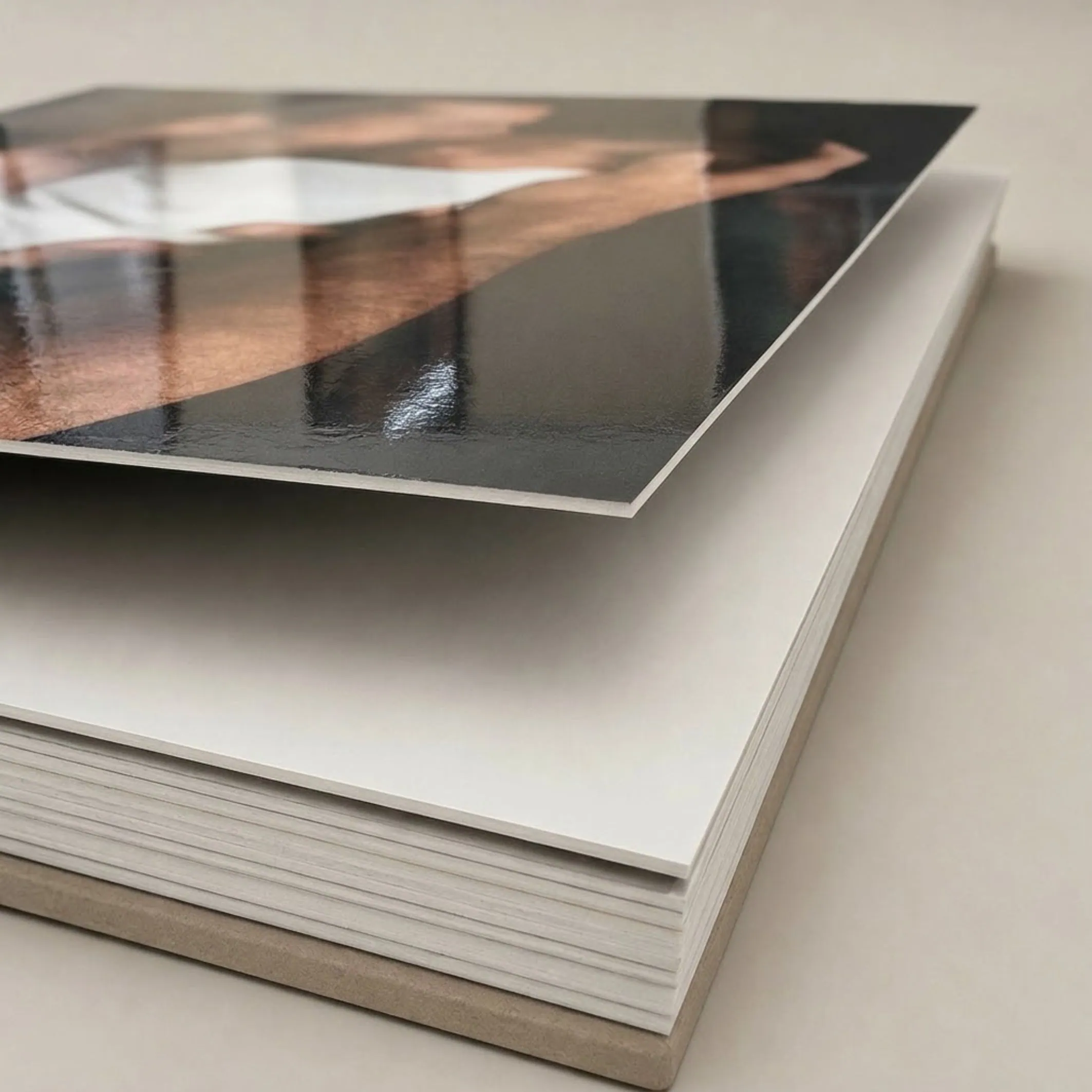 Capa de álbum fotográfico de alta qualidade em papel 440g.